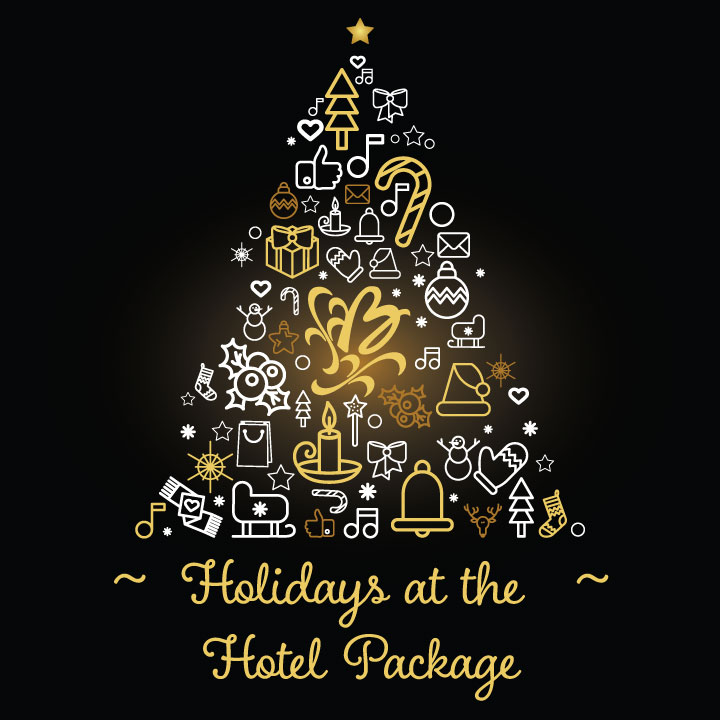 Holidays at the Hotel Package