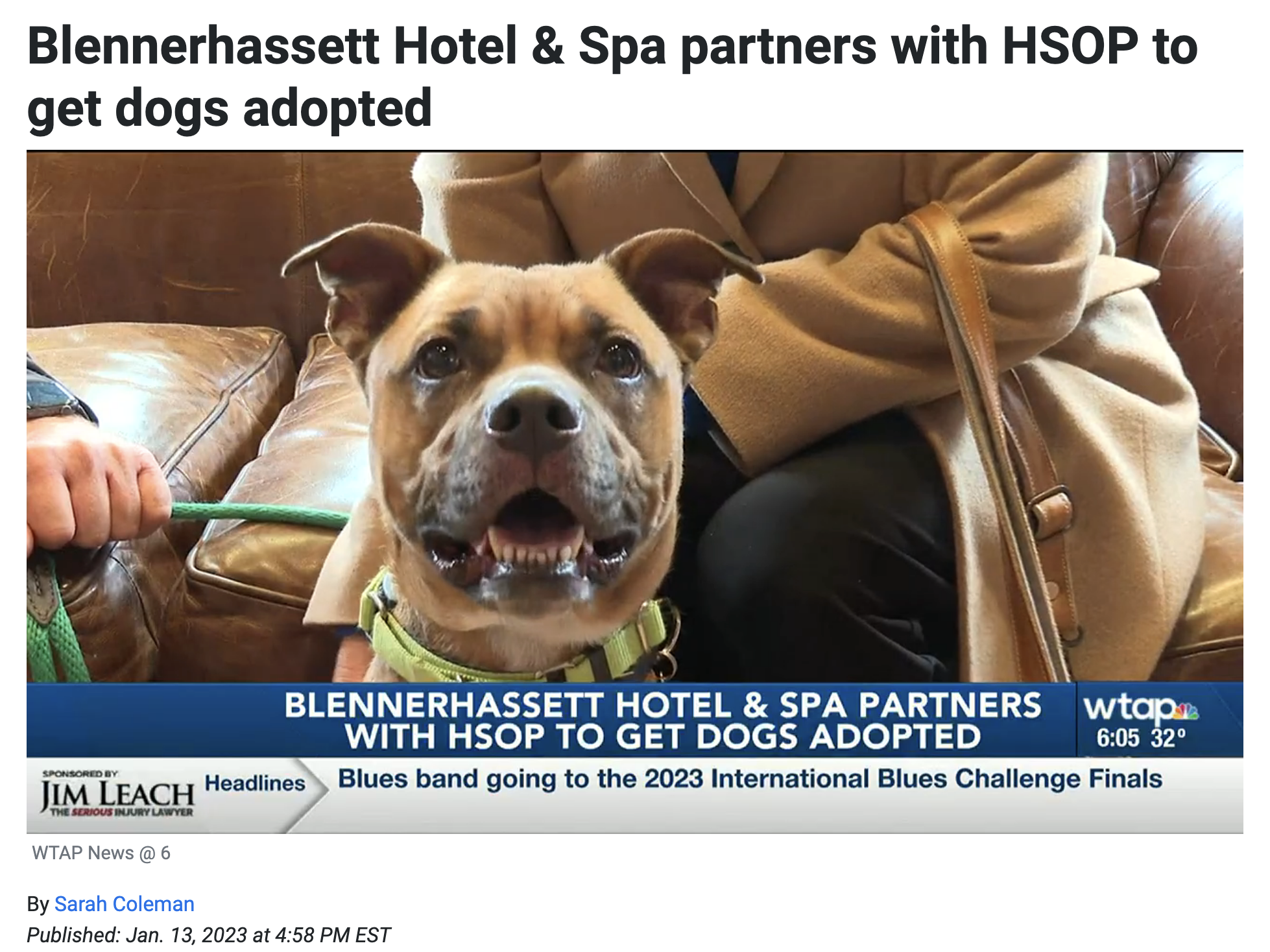 Blennerhassett Hotel and Spa partners with HSOP to get dogs adopted